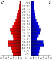 Bevolkingspiramide Rice County