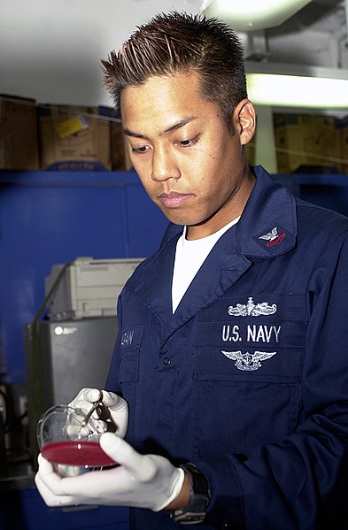 File:US Navy 040421-N-7949W-003 Hospital Corpsman 2nd Class Patrick C. Mangaran from Beach Park, Ill, swabs a bacteria culture for further examination.jpg