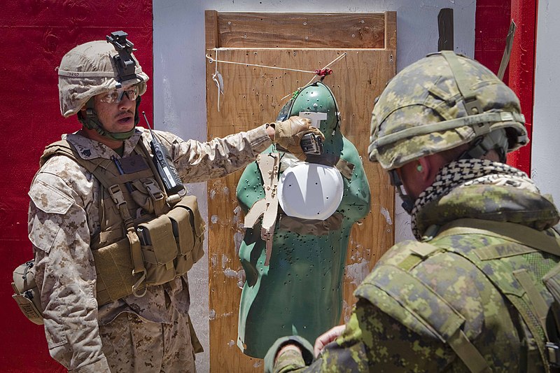File:US Navy 100718-M-2339L-382 Marines evaluate the shot group of Cpl. Jeremy Mackenzie, a rifleman with Company G, 2nd Battalion, Royal Canadian Regiment.jpg