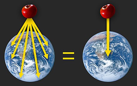An apple experiences gravitational fields directed towards every part of the Earth; however, the sum total of these many fields produces a single gravitational field directed towards the Earth's center.