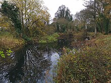 Up Nately Local Nature Reserve Up Nately Local Nature Reserve.jpg