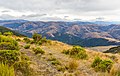 * Nomination Top of Mt Thomas, Mount Thomas Forest Conservation Area --Podzemnik 04:20, 10 July 2020 (UTC) * Promotion  Support Good quality. --XRay 04:24, 10 July 2020 (UTC)