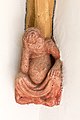 * Nomination Corbel figure at the porch of the parish and pilgrimage church in Maria Gail, Villach, Carinthia, Austria --Johann Jaritz 02:09, 24 April 2017 (UTC) * Promotion Good quality. --Uoaei1 03:55, 24 April 2017 (UTC)