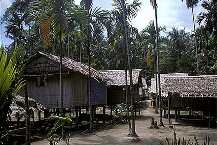 A village on Fergusson Island in Milne Bay Province