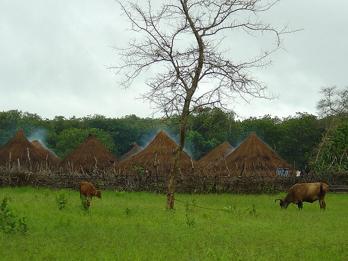 A photo of Guinea-Bissau