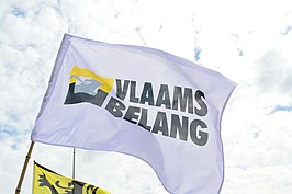 Vlag van het Vlaams Belang