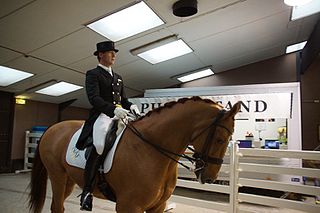 <span class="mw-page-title-main">Anders Dahl (equestrian)</span> Danish Olympic dressage rider