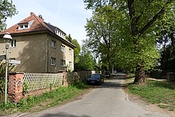 Waldspechtweg in Berlin