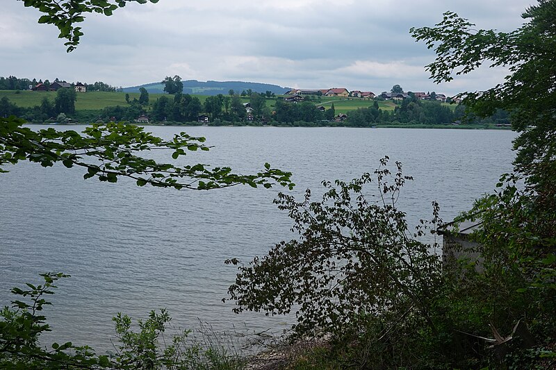 File:Wallersee 01.jpg