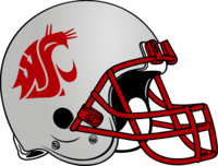 Washington State Football Helmet 2000-2010.png