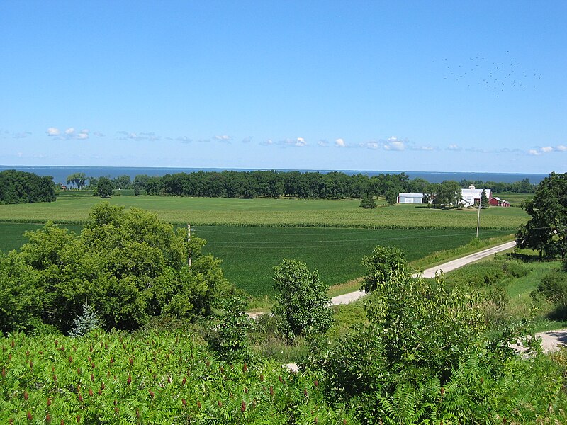 File:Wequiock Road (foreground) and Van Lieshout Road (background) in the town of Scott, Brown County, Wisconsin, July 29, 2005.jpg