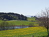 Westallgäu - Siggenhauser Weiher bei Amtzell.jpg