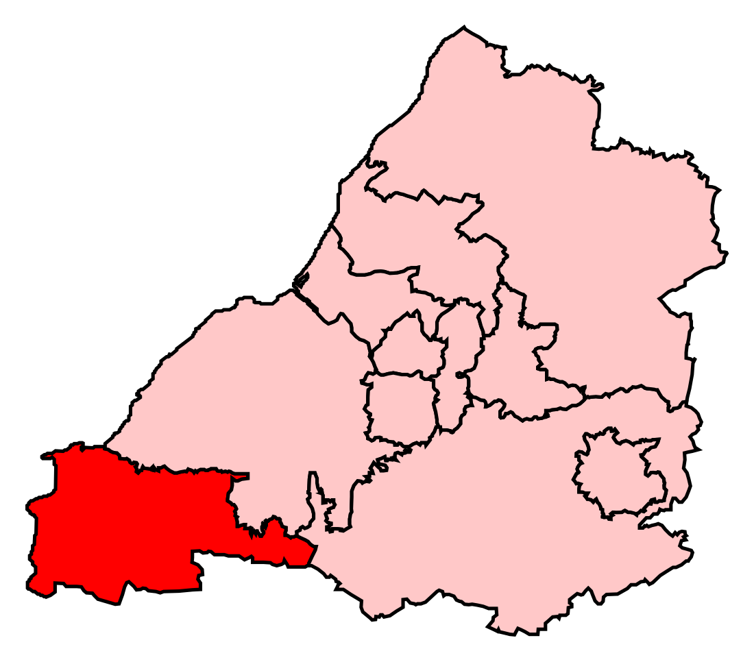 Weston-super-Mare (circonscription britannique)