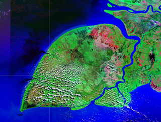 <span class="mw-page-title-main">Yos Sudarso Island</span> Island in South Papua, Indonesia