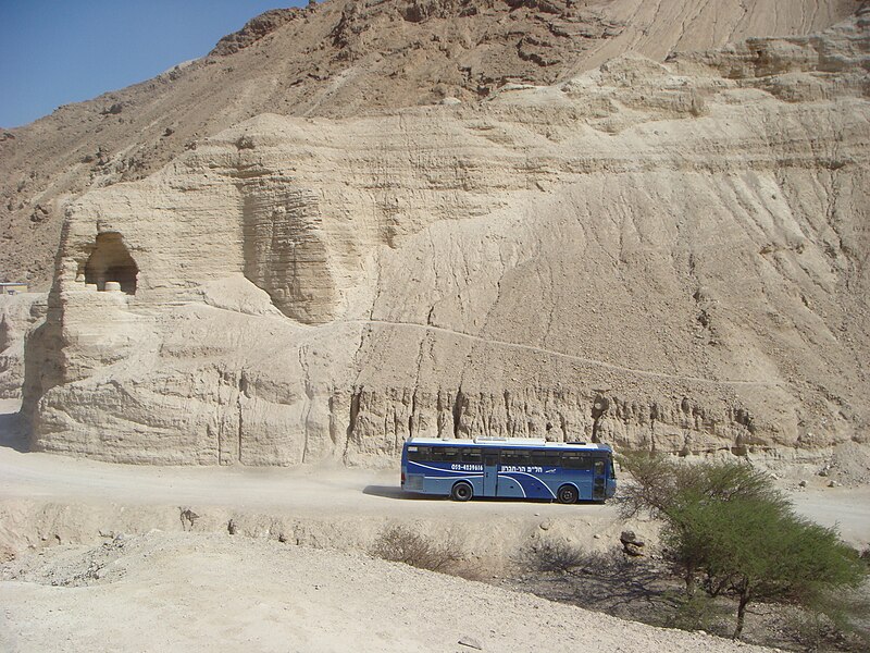 File:Zohar river estuary DSC04009.JPG