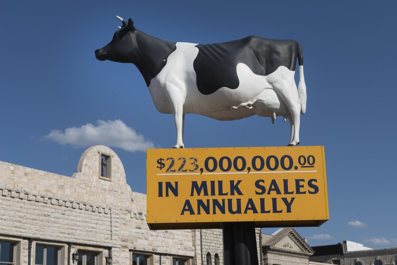 File:"Moo-la-la" the cow, a statue outside the Erath County Courthouse in Stephenville, Texas, promoting the county's standing as the "No. 1 Dairy County in Texas" LCCN2015630058.tif