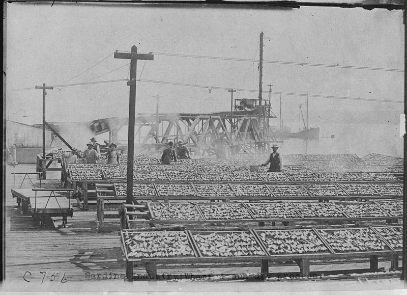 File:"Sardine Industry, Wharf and sun dry process." Monterey, Calif., ca. 1908. - NARA - 513093.jpg