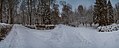 Зимові алеї в парку. Панорама.jpg