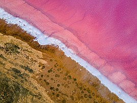 Vue aérienne du rivage du Syvach, en Crimée. la couleur rose est due à la présence de microalgues Dunaliella salina. (définition réelle 4 000 × 3 000)