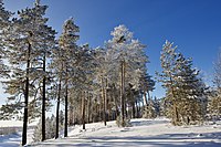 Barsovo, Khanty-Mansi Autonomous Okrug