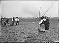 Battage au fléau