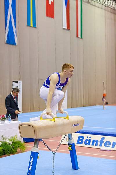 File:15th Austrian Future Cup 2018-11-24 Cameron Lynn (Norman Seibert) - 10934.jpg