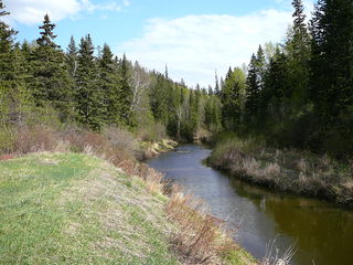 Whitemud Creek river in Canada