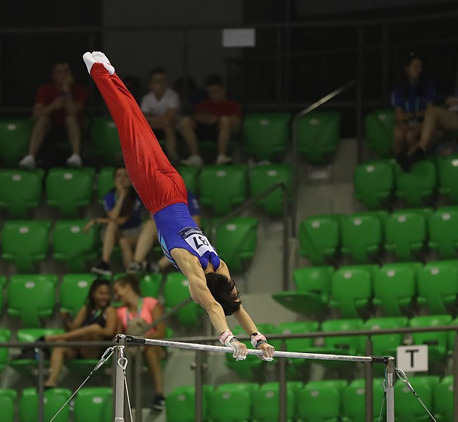 File:2019-06-27 1st FIG Artistic Gymnastics JWCH Men's All-around competition Subdivision 3 Horizontal bar (Martin Rulsch) 071.jpg