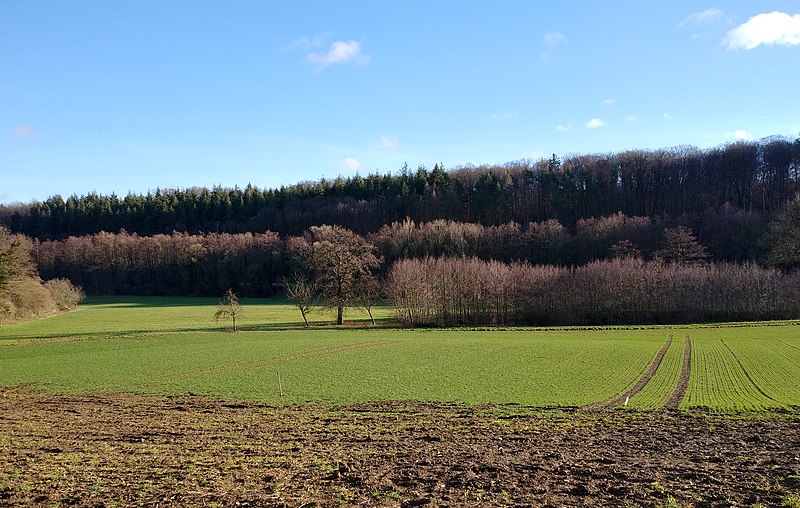 File:202012261317b SP Unmittelbar südlich Kloster Wenau.jpg