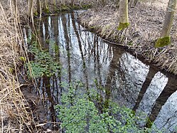 Deutsch: Die Schussenquelle bei Bad Schussenried. Die Schussen mündet in den Bodensee. English: The Schussenquelle near Bad Schussenried. The Schussen flows into Lake Constance.