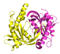 catalytic domain of human soluble guanylate cyclase 1