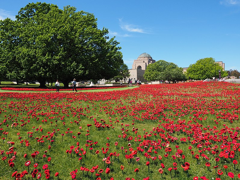 File:62000 Poppies Display at the AWM October 2018.jpg