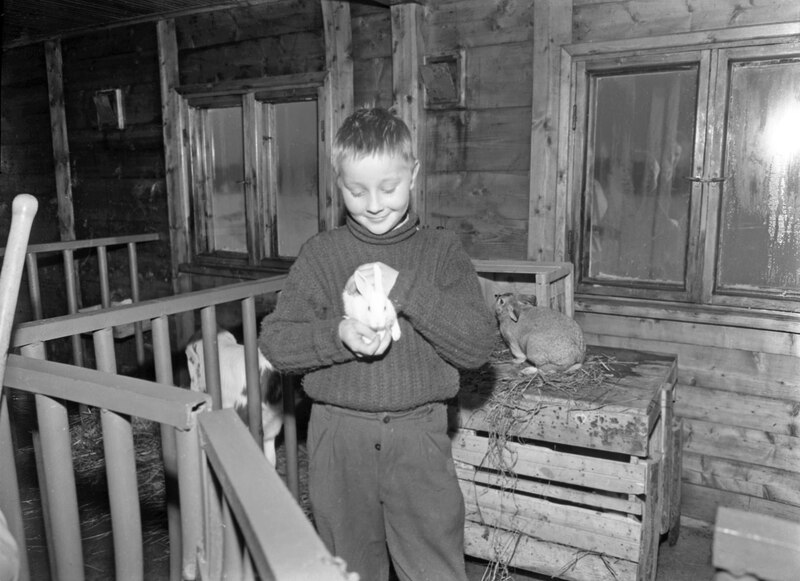 File:A boy and a rabbit 1950 (JOKAMT2Kot06-21).tif