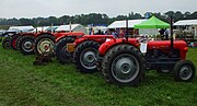 Thumbnail for File:A line of Little Red Fergie's in Ackworth Show Field - geograph.org.uk - 4176934.jpg