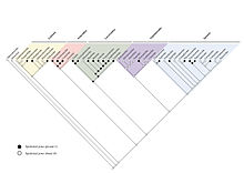 Evolution of femoral (epidermal) pores in lizards: a family overview. Pie charts from the maximum likelihood analyses are shown for ancestors, with the proportion of black representing the likelihood of epidermal pores being present in this ancestor. Absence in lizards.jpg