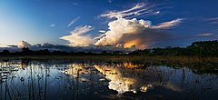  Calm after storm at Everglades National Park
