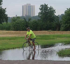 A man riding a bicycle through a flooded area in a park.