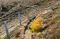 English: Barbed wire fence along the northern border of the Neuwirt alp Deutsch: Stacheldrahtzaun entlang der N-Grenze der Neuwirtalm