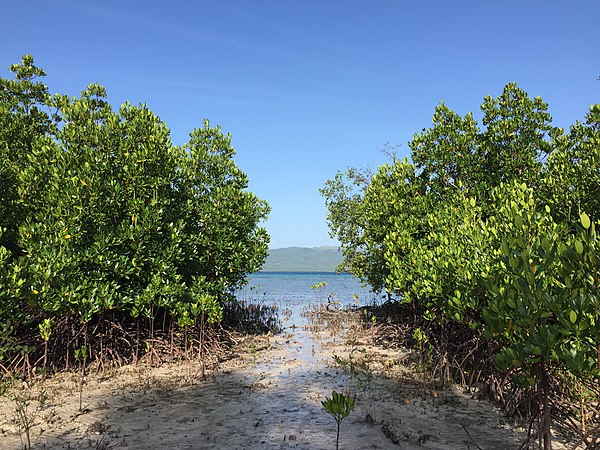 Image: Alibijaban Island, San Andres, Quezon Province, Philippines (5)