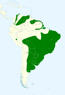 Ammodramus humeralis map.svg