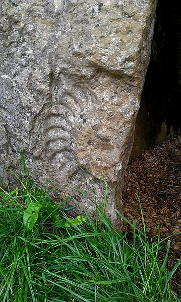 File:Ammonite at Stoney Littleton Long Barrow.jpg