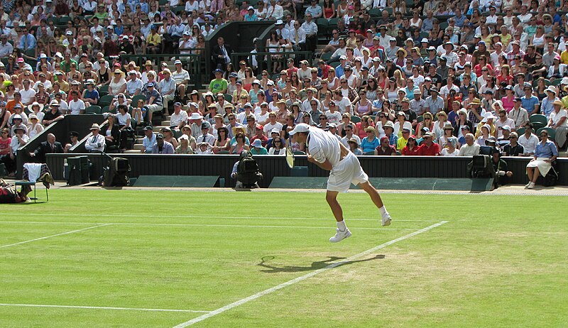 File:Andy Roddick at the 2010 Wimbledon Championships 02.jpg