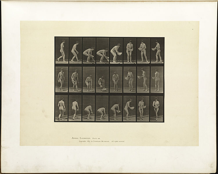 File:Animal locomotion. Plate 223 (Boston Public Library).jpg