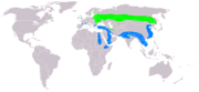 Summer (light green) and winter (blue) ranges of A. clanga