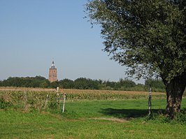 Toren van de Protestantse kerk (Hervormde Gemeente) in Asperen