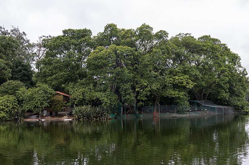 File:At Ibirapuera Park 2023 049.jpg