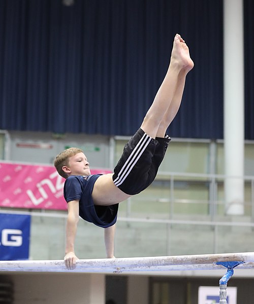 File:Austrian Future Cup 2018-11-23 Training Afternoon Parallel bars (Martin Rulsch) 0286.jpg