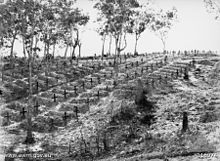 A section of the cemetery at Batu Lintang camp. Awm116974.jpg