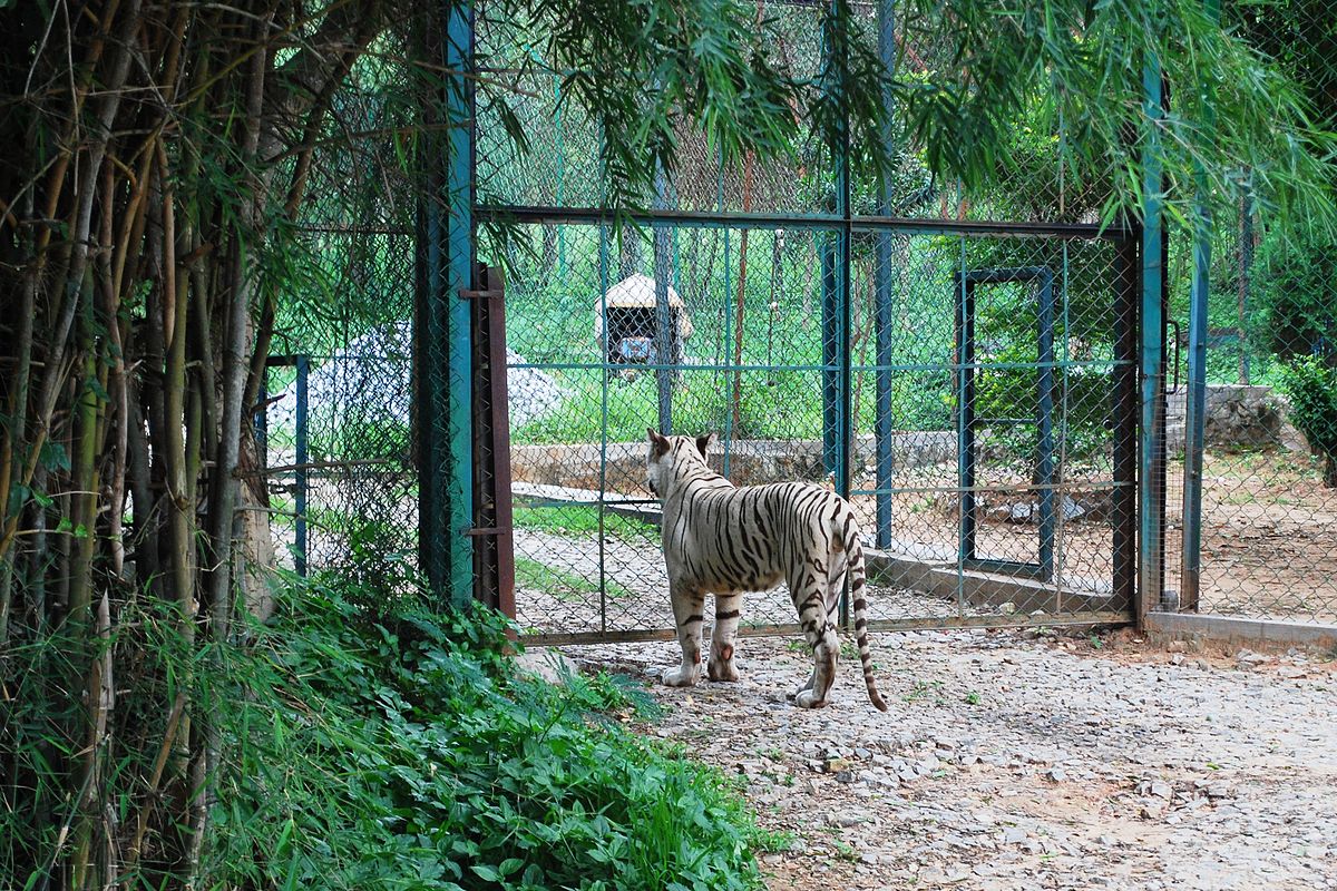 Bannerghatta National Park – Travel guide at Wikivoyage