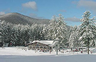 <span class="mw-page-title-main">Berkshire East Ski Resort</span> Ski resort in Charlemont, Massachusetts, United States